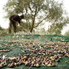 Manufactura de calidad Los olivos recolectan redes